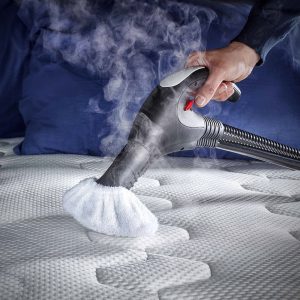 Nettoyeur vapeur Polti Vaporetto Lecoaspira FAV50