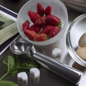 Portionneuse à glace eutectique (x12) – 5360/12 Chevalier diffusion