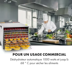 Déshydrateur alimentaire Fruit Jerky Steel 10 Klarstein 10028437