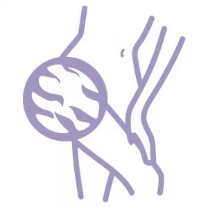 Masseur anti cellulite – LY4000F0 – ROWENTA