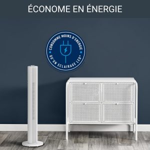 Ventilateur colonne Urban cool Rowenta – VU6720F0