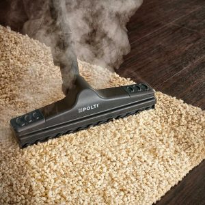 Nettoyeur vapeur Polti Vaporetto Lecoaspira FAV30