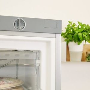 Congélateur 1 porte 60cm UI62SFR- Indesit