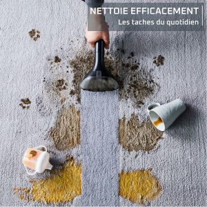 Nettoyeur détacheur et Aspirateur – IN5011F0